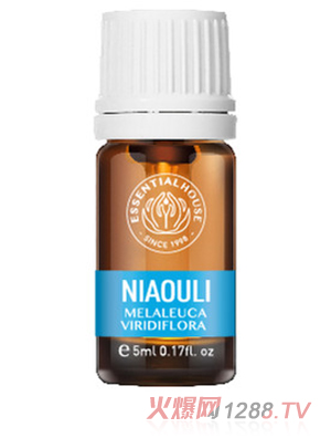 ��Ϫ���@ �G����ǧ�Ӿ���