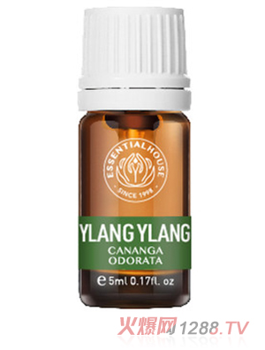 ��Ϫ���@ ��ȫ���m����