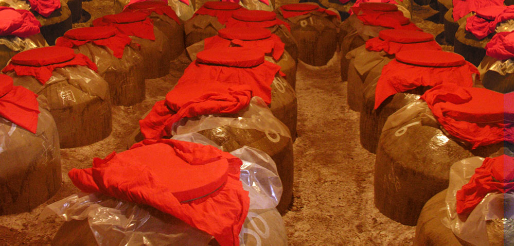 ����ɽ��(zh��n)�԰l(f��)����ĸ��l(f��)չՓ���F��