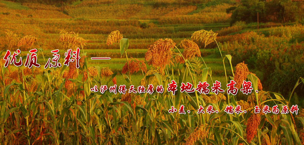 ����ɽ��(zh��n)�԰l(f��)����ĸ��l(f��)չՓ���F��